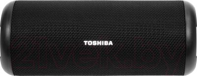 Портативная акустика Toshiba TY-WSP201 - фото