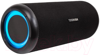 Портативная акустика Toshiba TY-WSP201