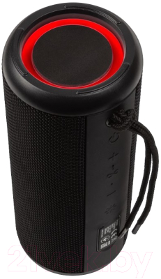 Портативная акустика Toshiba TY-WSP201