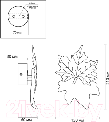 Бра Odeon Light Eva 4371/3WL