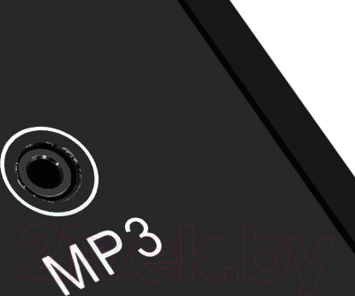 Электрическая беговая дорожка Titanium Masters Physiotech TBM