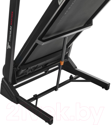 Электрическая беговая дорожка Titanium Masters Physiotech TCA