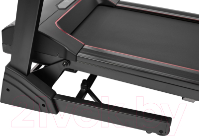 Электрическая беговая дорожка Titanium Masters Physiotech TCA