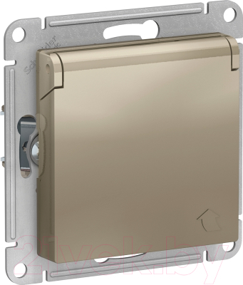 Розетка Schneider Electric AtlasDesign ATN000546 - фото