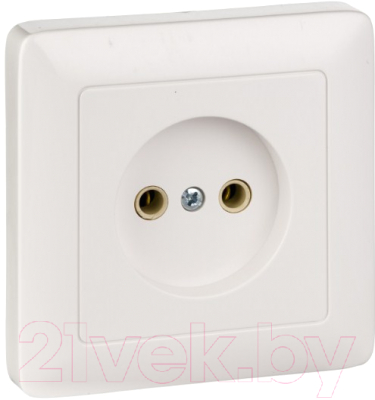 Розетка Schneider Electric Хит RS10-132-B - фото