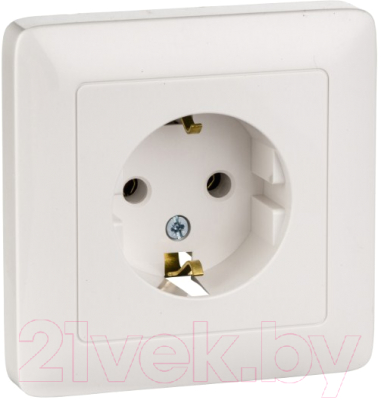 Розетка Schneider Electric Хит RS16-134-B - фото