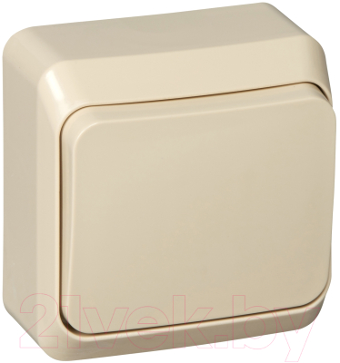 Выключатель Schneider Electric Этюд BA10-004K - фото