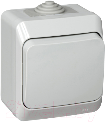 Выключатель Schneider Electric Этюд BA10-041C - фото