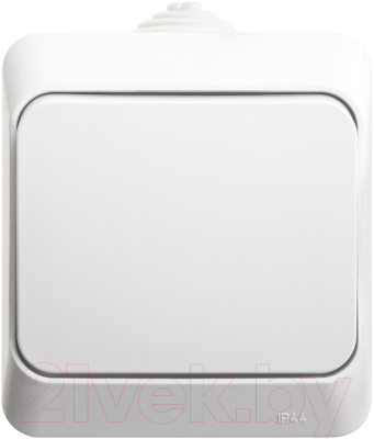 Выключатель Schneider Electric Этюд BA10-046B - фото