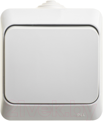 Выключатель Schneider Electric Этюд BA10-046C - фото