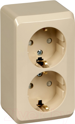 Розетка Schneider Electric Этюд PA16-008K - фото