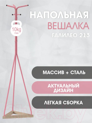 Вешалка для одежды Мебелик Галилео 213