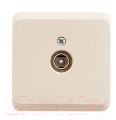 Розетка Schneider Electric Этюд TVA-002K - фото