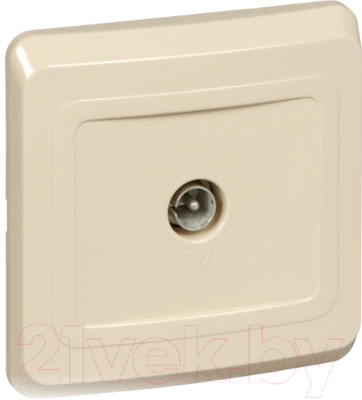 Розетка Schneider Electric Этюд TVC-002K - фото