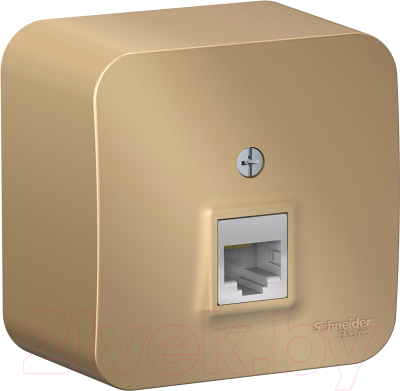 Розетка Schneider Electric Blanca BLNIA045004 - фото