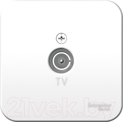 Розетка Schneider Electric Blanca BLNTA000011 - фото