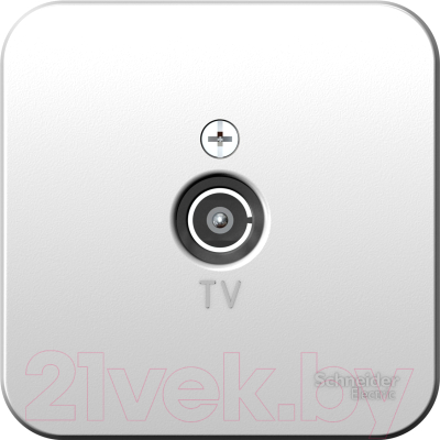 Розетка Schneider Electric Blanca BLNTA000013 - фото