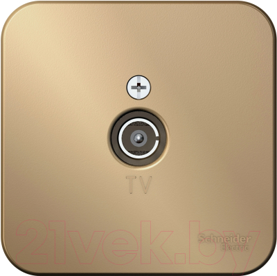 Розетка Schneider Electric Blanca BLNTA000014 - фото