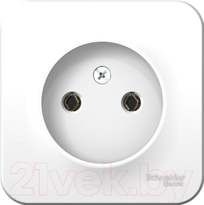 Розетка Schneider Electric Blanca BLNRA000111 - фото