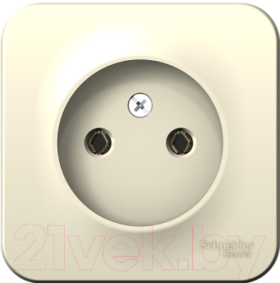 Розетка Schneider Electric Blanca BLNRA000112 - фото