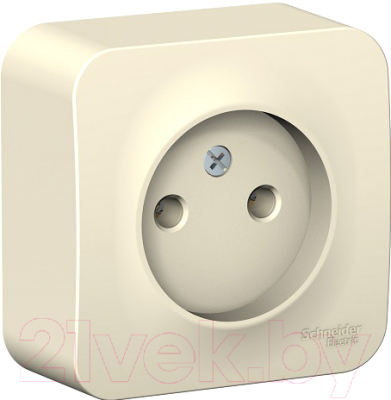 Розетка Schneider Electric Blanca BLNRA000112
