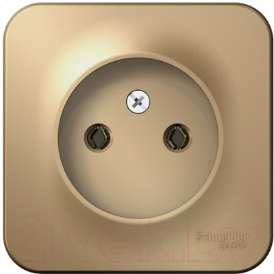 Розетка Systeme (Schneider) Electric Blanca BLNRA000114 - фото