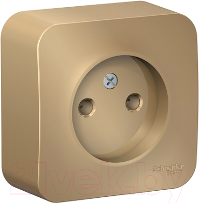 Розетка Systeme (Schneider) Electric Blanca BLNRA000114