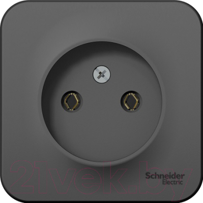 Розетка Schneider Electric Blanca BLNRA000116 - фото