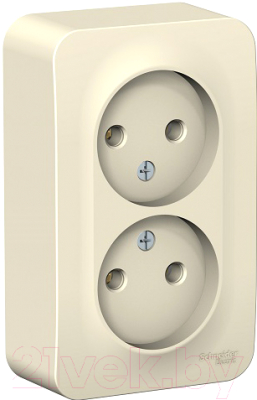 Розетка Schneider Electric Blanca BLNRA000212