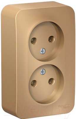 Розетка Schneider Electric Blanca BLNRA000214 - фото