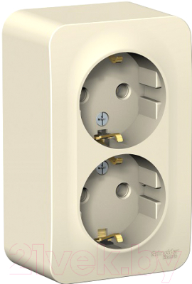 Розетка Schneider Electric Blanca BLNRA010212