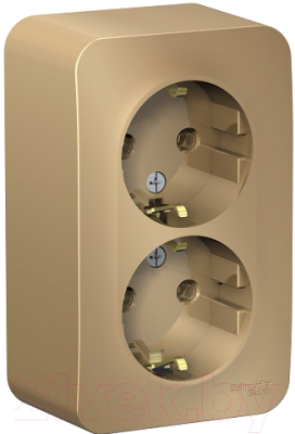 Розетка Schneider Electric Blanca BLNRA010214