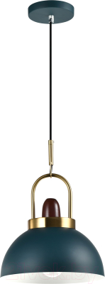 Потолочный светильник Moderli Ravenna / V10448-1P - фото