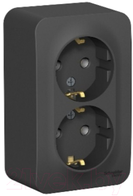 Розетка Schneider Electric Blanca BLNRA010216 - фото