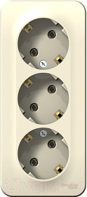 Розетка Schneider Electric Blanca BLNRA010312 - фото