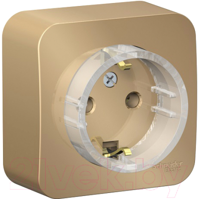 Розетка Schneider Electric Blanca BLNRA110114 - фото