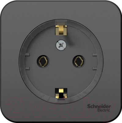 Розетка Schneider Electric Blanca BLNRA110116 - фото