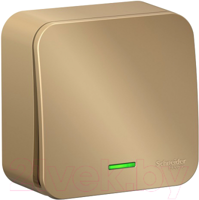 Выключатель Systeme (Schneider) Electric Blanca BLNVA101114