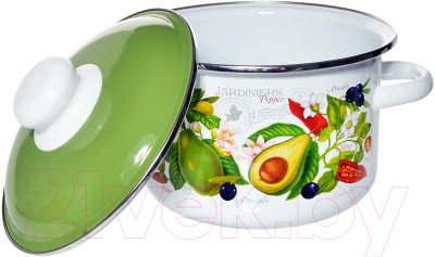 Кастрюля СтальЭмаль Авокадо 6RD161M