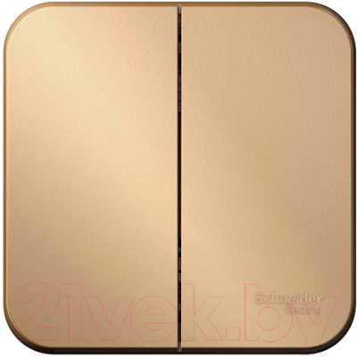 Выключатель Schneider Electric Blanca BLNVA105014 - фото