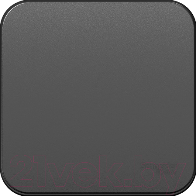 Выключатель Schneider Electric Blanca BLNVA106016 - фото