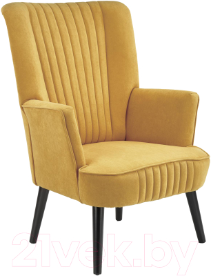 Кресло мягкое Halmar Delgado - фото