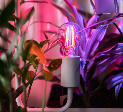 Лампа Rexant 604-146