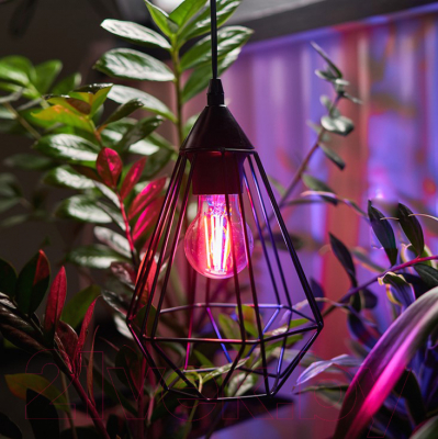 Лампа Rexant 604-146