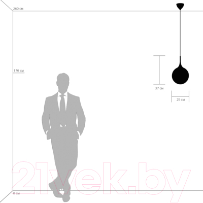 Потолочный светильник Lightstar Globo 813033