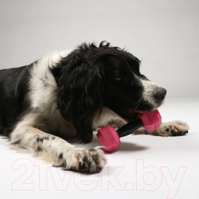 Игрушка для собак EBI Bite Me / 303/475355