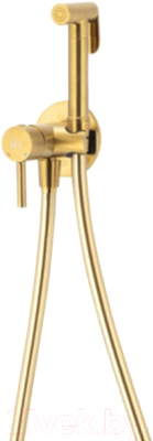 Гигиенический душ Armatura Moza 5039-512-31 - фото