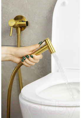 Гигиенический душ Armatura Moza 5039-512-31