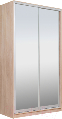 Шкаф Рэйгрупп 138 TTX Elgon РГ-11.04 - фото