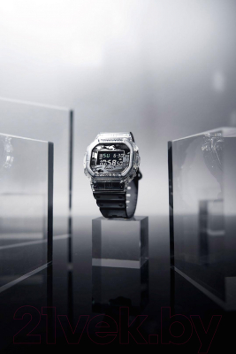 Часы наручные мужские Casio DW-5600SKC-1E